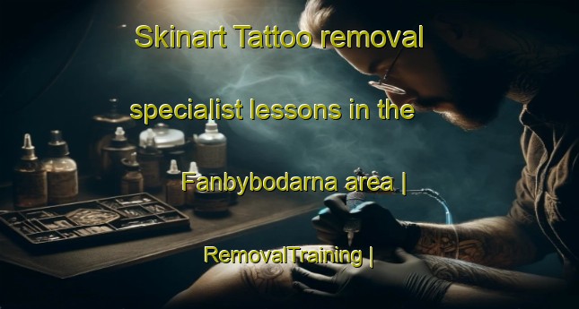 Skinart Tattoo removal specialist lessons in the Fanbybodarna area | RemovalTraining | RemovalClasses | SkinartTraining-Sweden